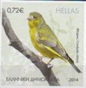 European Greenfinch (Carduelis chloris)