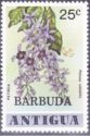 Petrea (Petrea volubilis) - Overprinted
