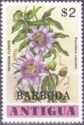 Passion Flower (Passiflora caerulea) - Overprinted