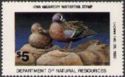 Blue-winged teal (Anas discors)