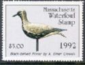 Black-bellied plover (Pluvialis squatarola) decoy