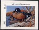 Blue-winged teal (Anas discors)