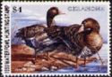 Greater white-fronted goose (Anser albifrons)