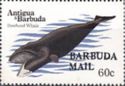 Bowhead Whale (Balaena mysticetus) - Overprinted