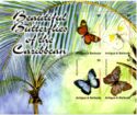 Beautiful Butterflies of the Caribbean