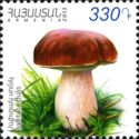 Cep (Boletus edulis)