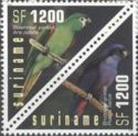 Red-shouldered Macaw (Ara nobilis), Dusky Parrot (Pionus fus