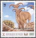 Animals Sheep Rams (Barbary Sheep)