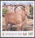 Animals Sheep Rams (Barbary Sheep)