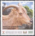 Animals Sheep Rams (Barbary Sheep)