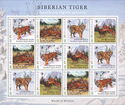 Animals Tigers (Siberian Tiger)