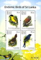 Endemic Birds of Sri Lanka