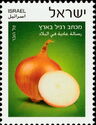 Onion