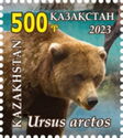 Brown Bear (Ursus arctos)