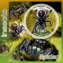 Insects (Spider)