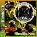 Insects (Bumble-bee)