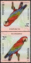 Green-Winged Macaw (Ara chloropterus)
