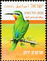 Blue-cheeked Bee-Eater (Merops persicus)