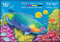 CMYK Printing : Parrotfish (Chlorurus sp)
