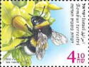 Large Earth Bumble Bee (Bombus terrestris)