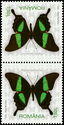 Emerald Swallowtail (Papilio palinurus)