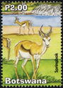 Springbok