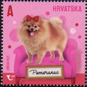 Pomeranian