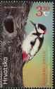 White-Winged Woodpecker (Dendrocopos leucopterus)