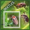Beetles (Melolantha)