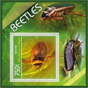 Beetles (Dytiscidae)