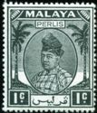 Raja Syed Putra