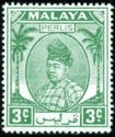 Raja Syed Putra