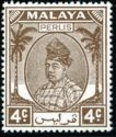 Raja Syed Putra