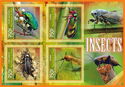 Insects