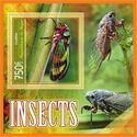 Insects (Cicadidae)