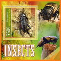 Insects (Gryllus campestris)