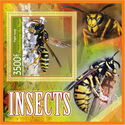 Insects (Paper wasp)