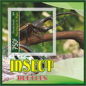 Insects Beetles (Hercules beetle)