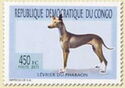 Pharaoh Hound