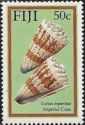 Imperial Cone (Conus imperialis) 