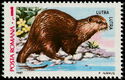Eurasian Otter (Lutra lutra)