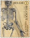 Andreas Vesalius - 500 Years - Skeletal System
