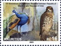 Indian Peacock and Mauritius Kestrel