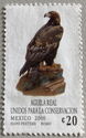 Conservation Golden Eagle (Aquila chrysaetos)