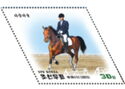 Horse Riding in DPR Korea