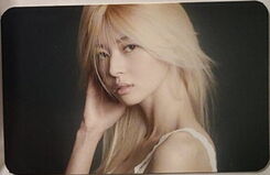 Sticky sticky album photocard