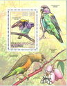 Parrots