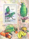 Parrots