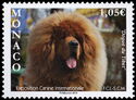 Tibetan Mastiff International Dog Exposition