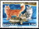 International Cat Exposition, Monte Carlo